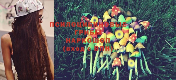 прущие крисы Медногорск