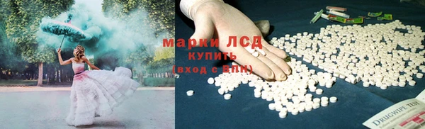 ALPHA PVP Медвежьегорск